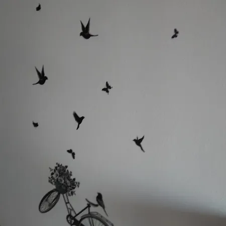 Haus Sofis Коинира