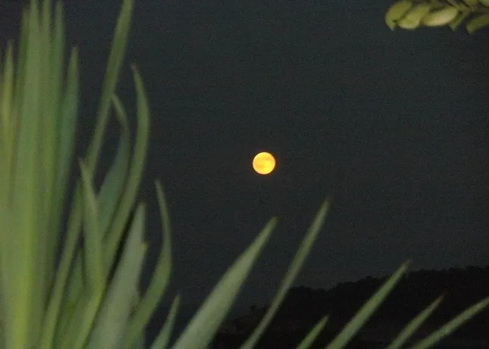 Haus Sofis Apartament *